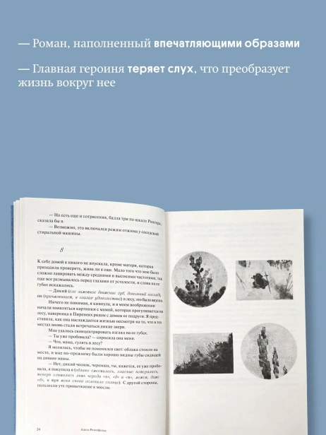У-медуз-нет-ушей-PRIMESbooks3.webp