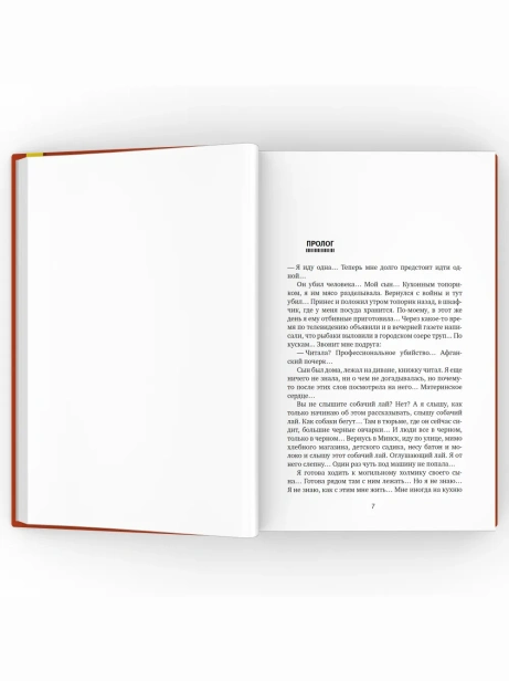 Цинковые-мальчики-PRIMESbooks4.webp