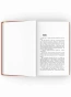 Цинковые-мальчики-PRIMESbooks4.webp