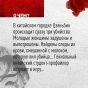 Профайлер-PRIMESbooks4.webp