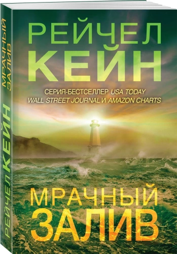 Мрачный-залив-PRIMESbooks.webp