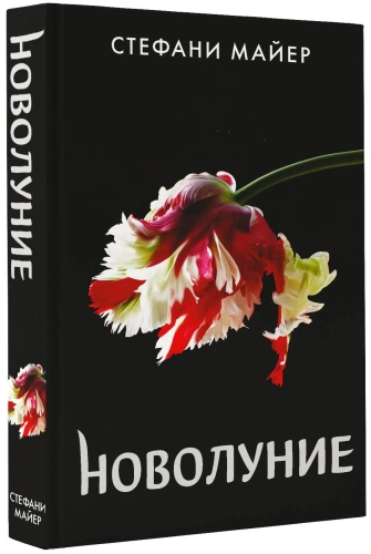 Новолуние-PRIMESbooks.webp