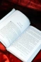 Сумерки-PRIMESbooks4.webp