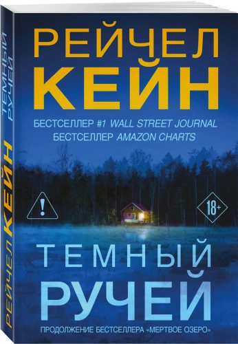 Темный-ручей-PRIMESbooks.webp