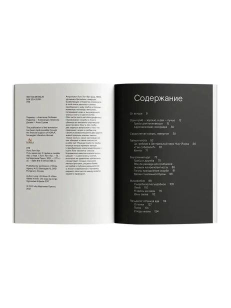 Путь-через-лес-О-грибах-и-скорби-PRIMESbooks3.webp
