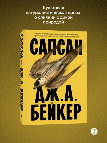 Сапсан-PRIMESbooks.webp