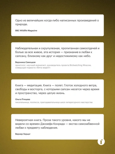 Сапсан-PRIMESbooks2.webp