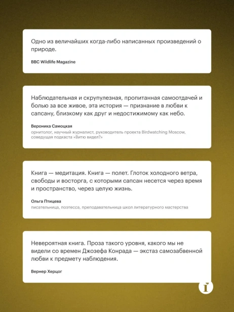 Сапсан-PRIMESbooks2.webp
