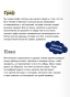 Граф-МонтеКристо-Том-3-Вечные-истории-PRIMESbooks4.webp