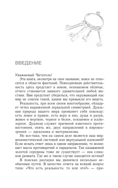 Вершитель-реальности-PRIMESbooks3.webp